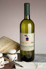 white wine of Puglia - Malvasia Bianca - Tenuta dei Cavalieri